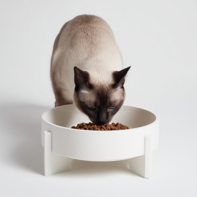 Pet bowl